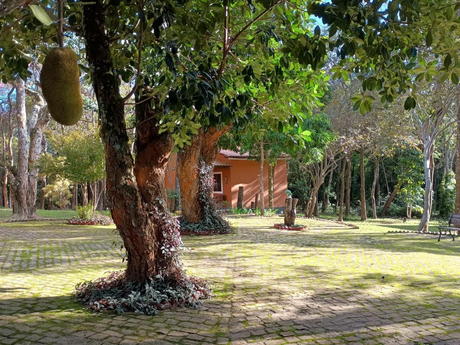 Villaflor Pousada Vale do Capao Exterior foto